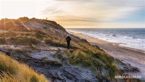 windguru hvide sande|windfinder dänemark.